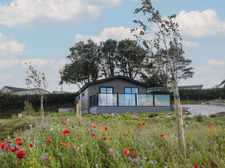 A grey lodge with glass balcony surrounded by wildflowers and trees at Primrose Lodge in Norton near Dartmouth