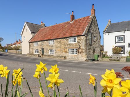 A stone cottage with a tiled roof across the road with yellow flowers in the foreground at Lythe Cottage in Lythe