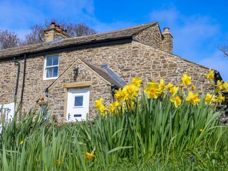 A stone house with yellow flowers and green grass in front at Swinhope View in Hexham