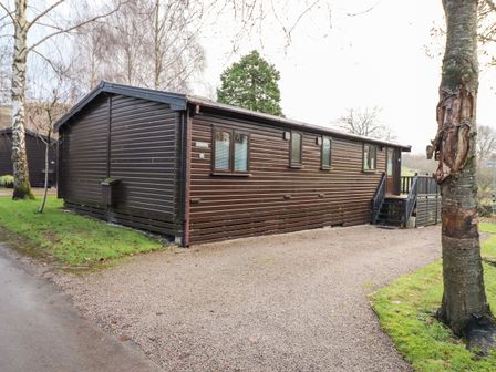 A wooden cabin with stairs and a gravel driveway surrounded by trees and grass at Latrigg Lodge Number 9 Burnside Park near Keswick