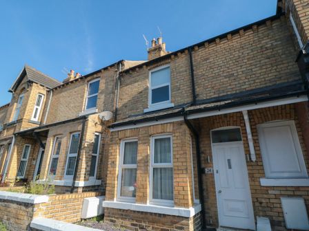 A row of brick terraced houses with white framed windows and doors at Columbus View in Scarborough
