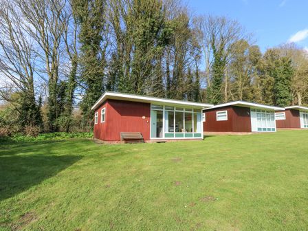 Three small modern cabins with large windows on a grassy lawn in front of tall trees at The Beach Hut in Cromer