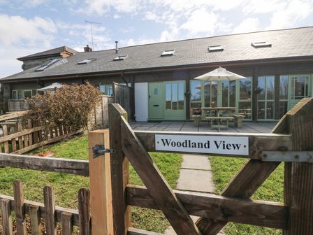 A patio area with a wooden picnic table and umbrella outside a building with green doors and windows at Woodland View in Muddiford near West Down