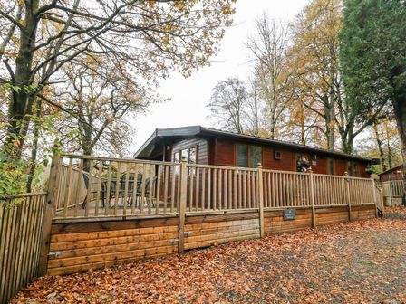 A wooden cabin with a fenced deck and outdoor table and chairs surrounded by trees with autumn leaves at Tree View Lodge in Troutbeck Bridge