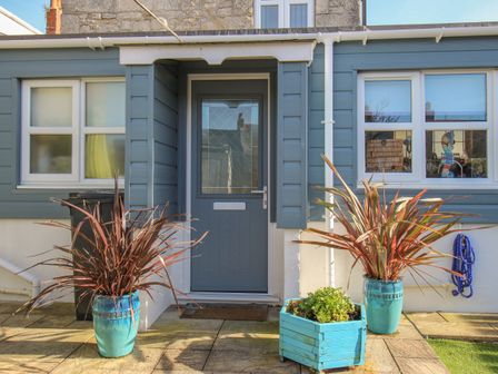 The front door of a blue and white house with two blue pots containing plants and a blue wooden planter in front at Cove Cottage Hideaway in Chiswell On Portland