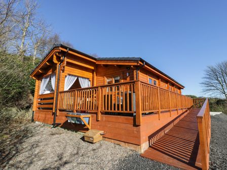 A wooden cabin with a ramp and railings surrounded by trees at Little Lodge in Balminnoch near Glenluce