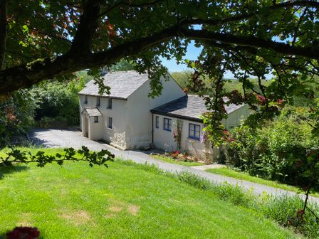 A white house with blue window frames surrounded by greenery and trees at Lower Tamsquite in St Tudy