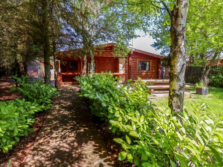 A wooden cabin with surrounding greenery and a pathway leading to the entrance at Starwood in Felton