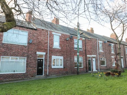 A row of brick terraced houses with front doors and windows facing a grassy area with trees and flowers at Sunflowers in Earsdon near Whitley Bay