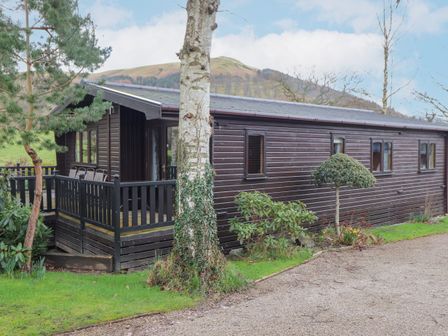 A wooden lodge with a porch surrounded by trees and shrubs in a rural setting at Hayeswater Lodge in Burnside Park near Keswick