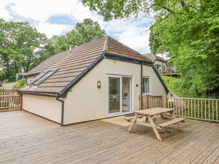 An exterior view of a small house with a wooden deck and picnic table surrounded by trees at Crystals in Hatherleigh