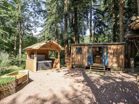 A wooden shepherd's hut and hot tub in an outdoor setting at Tanglewood Shepherds Hut in Welshpool