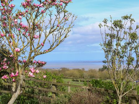 A garden with flowering trees and a wooden fence overlooking fields and a body of water at Dolphin Bach in Dolphin