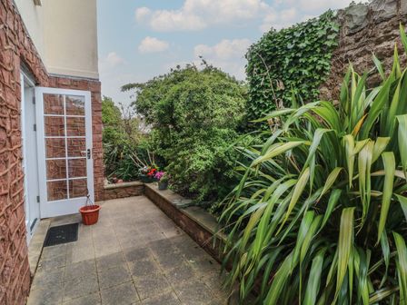 A patio area with potted plants and dense greenery near a glass door at Archie's Minehead