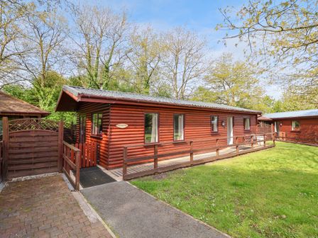 A wooden cabin with a ramp and a small fenced area surrounded by grass and trees at The Blacktail in Llanerch Park near St Asaph