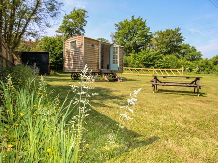 A wooden hut with an open door and small stairs on a grassy lawn with a picnic table at Acres Meadow in Maiden Newton