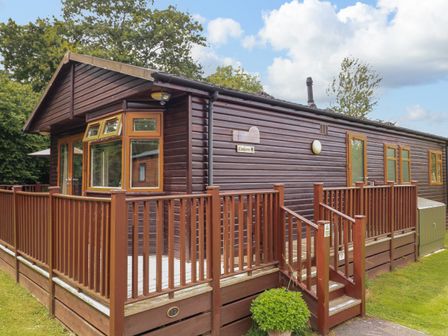 An exterior view of a wooden lodge with a porch and railing surrounded by grass and trees at The Brambles 17 - Conkers Lodge Finlakes Holiday Park near Chudleigh