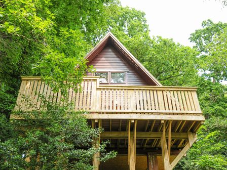 A wooden treehouse with a balcony surrounded by green trees at Lodge 32 Cowslip Finlakes Holiday Park near Chudleigh