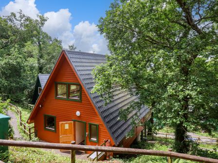 An orange A-frame wooden cabin with a gray roof surrounded by trees and greenery at Lodge 45 - Lazy Bear in Finlakes Holiday Park near Chudleigh
