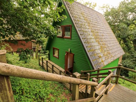 A green wooden cabin with a sloped roof and a staircase leading to the door surrounded by trees and greenery at Lodge 58 - Oak Tree Lodge Finlakes Holiday Park near Chudleigh