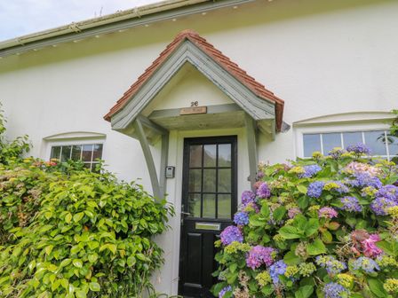 A black front door with glass panels under a small pointed roof with plants and flowers on both sides at Sea Rose in Aberporth