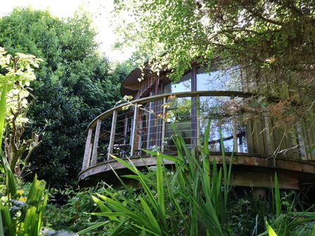 A wooden deck with railing surrounded by greenery and trees at The Bothy in Lyme Regis