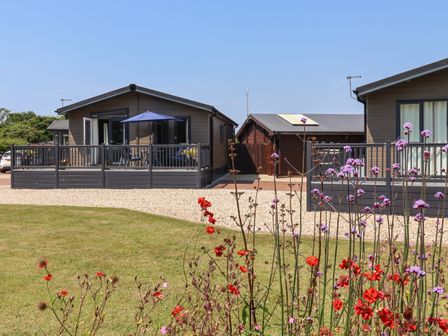 Two modern cabins with fenced decks and outdoor furniture surrounded by gravel and a grass lawn with red and purple flowers at Hazelwood 2 in Pinewood near Lyme Regis