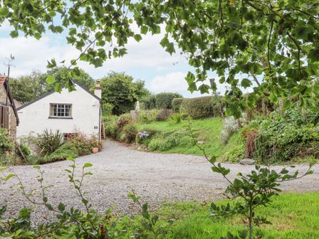 A gravel driveway next to a white house surrounded by plants and greenery at Hole Farm Stables in Bickington near Ashburton