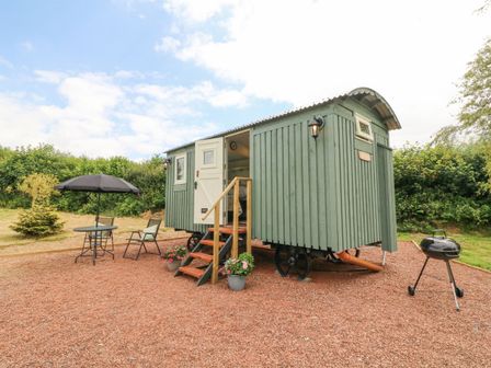 A small green cabin on wheels with stairs and outdoor table with umbrella and grill at Cuckoo's Nest in South Molton