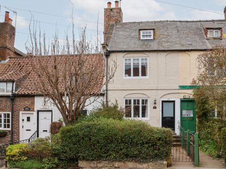 A row of brick and stone houses with front doors and windows behind a hedge and a leafless tree at Field View in Ruswarp