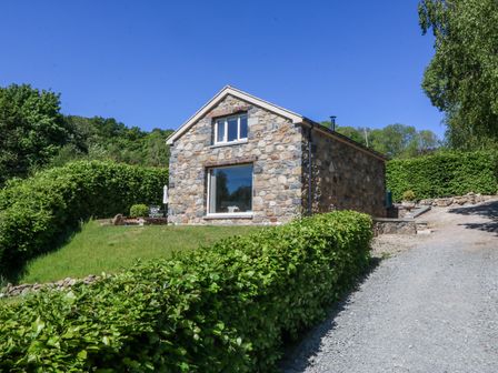 A stone house with a large window and green hedges along a gravel driveway at Holly Cottage in Llechwedd near Conwy