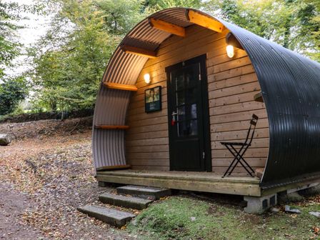 A small pod cabin with wooden siding and a black corrugated metal roof with steps and a chair at Ballybeg Pod 5 Ballybeg near Tinahely County Wicklow
