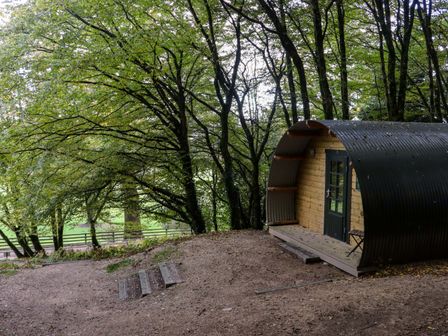A wooden curved cabin with a black roof in a wooded area near a fence at Ballybeg Pod 10 Ballybeg near Tinahely County Wicklow