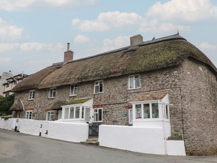 A row of stone cottages with thatched roofs and white fences on a street at Vine Cottage in East Prawle