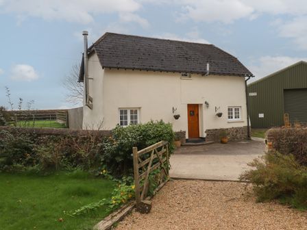 A small house with a wooden door and two windows with a gravel driveway and a green gate at Cherryblossom Cottage in Winkleigh