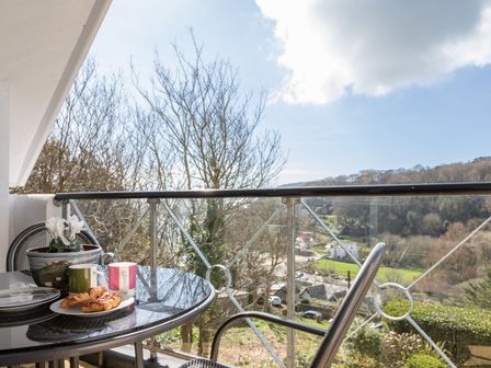 A balcony with a table set with plates pastries mugs and a potted plant overlooking a rural landscape at 17 St Elmo Court in Salcombe