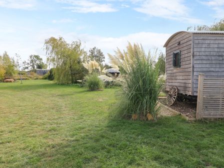 A shepherd's hut surrounded by grass and pampas grass at Poppie's Shepherds Hut at Shepherds Lodge Retreat and Wellness