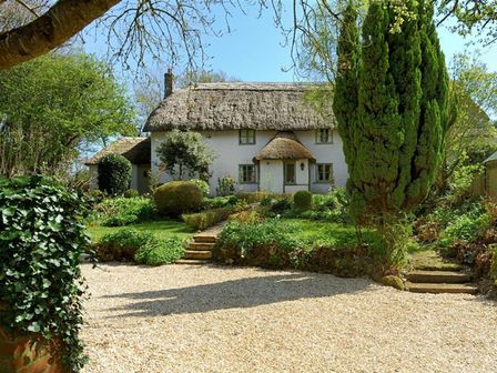 A thatched cottage surrounded by a garden with trees and shrubs at Church Cottage in Whitchurch Canonicorum