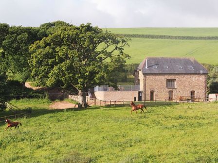 A stone house with a slate roof in a green field with two horses and large trees at Swallows Reach in Halwell