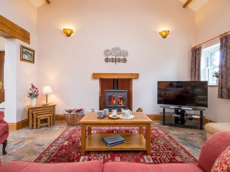 A living room with a fireplace television coffee table and red rug at Hirwaun Cottage Cardigan Near Cenarth