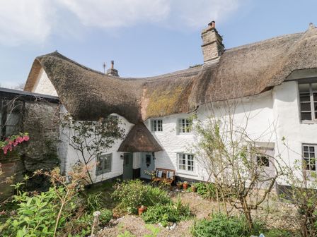 A thatched roof cottage with white walls surrounded by plants and a small garden at 3 Cumberland Cottages in Ringmore