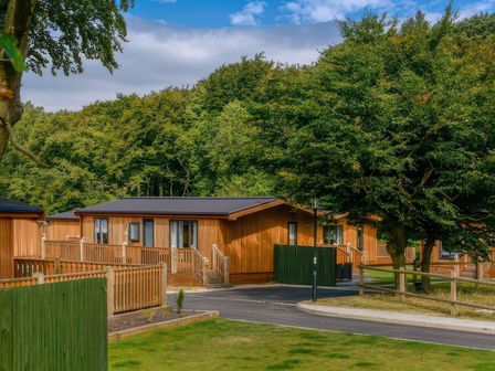 Wooden lodges with fenced porches near trees and a road at 3 Ashway Gap Lodge in Greenfield