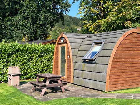 A small wooden cabin with a glass door and a roof window next to a picnic table and concrete barbecue on a stone patio at The Nest in Greenfield