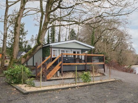 A small raised cabin with a wooden railing and stairs surrounded by trees and bushes at Mill View in Dungiven Londonderry