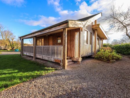 A wooden lodge with a covered porch and gravel pathway surrounded by grass and trees at Cedrus Lodge Skelton near Penrith
