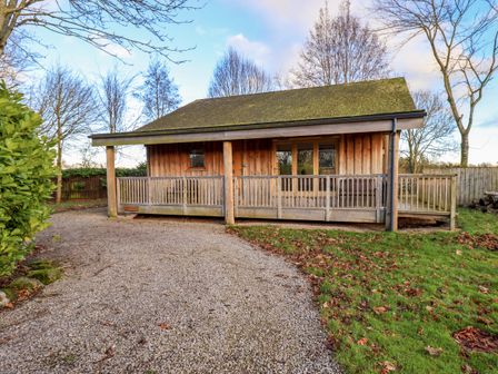 A wooden cabin with a covered porch and gravel driveway surrounded by leafless trees and grass at Larch Lodge in Skelton near Penrith