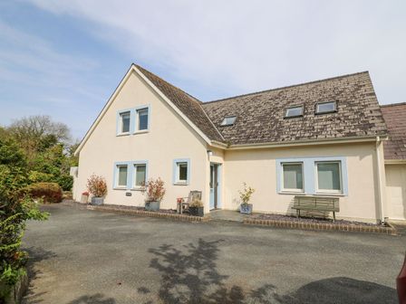 A house with multiple windows and a sloped roof with skylights a driveway and plants in pots at Tree Tops in Newport Pembrokeshire