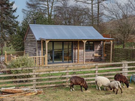 A wooden cabin with a metal roof surrounded by a wooden fence and sheep grazing on grass at Beech Tree Cabin in Goodmanham near Market Weighton