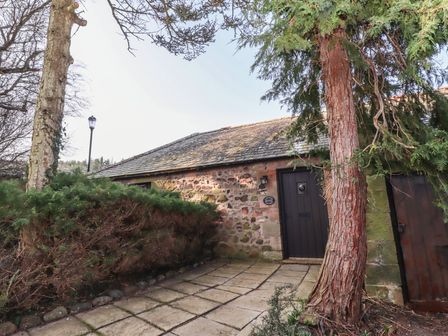 A stone cottage with a dark door and shrubs in front at Lavender cottage in Akeld near Wooler