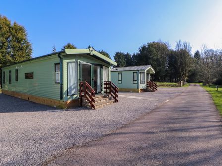 Two green static caravans with wooden stairs on gravel beside a paved road and trees in the background at Lodge 2 in Silverdale